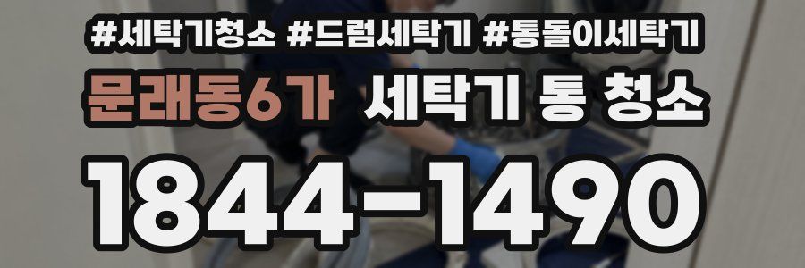 문래동6가 세탁기 통 청소