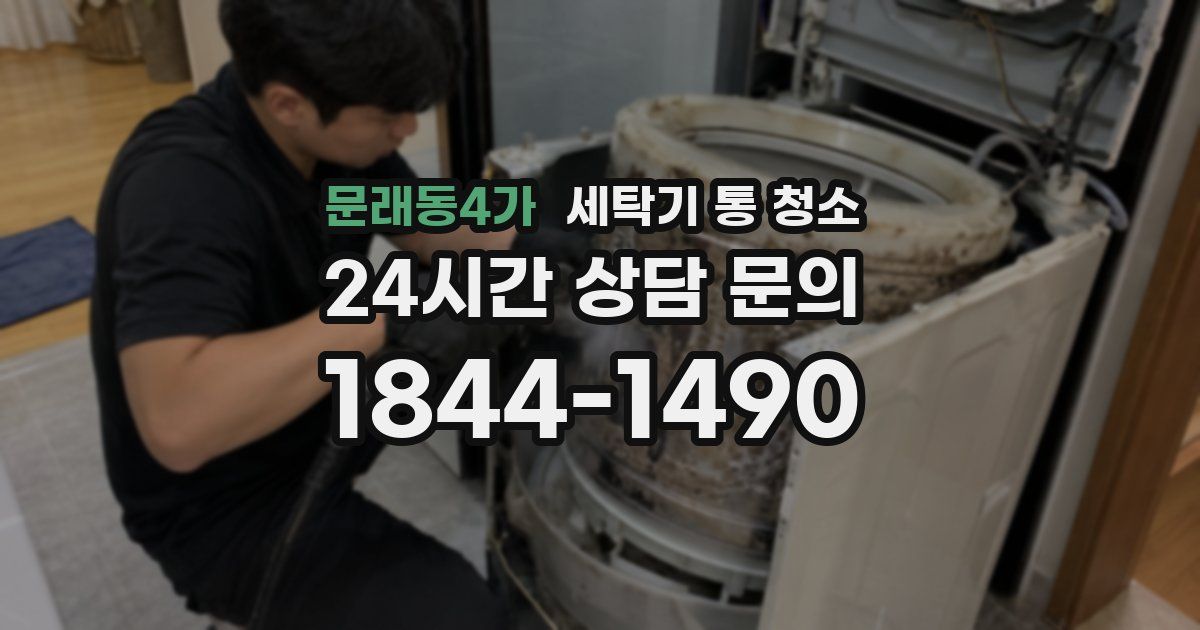 문래동4가 세탁기 통 청소