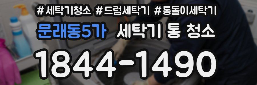 문래동5가 세탁기 통 청소