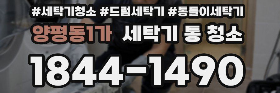 양평동1가 세탁기 통 청소