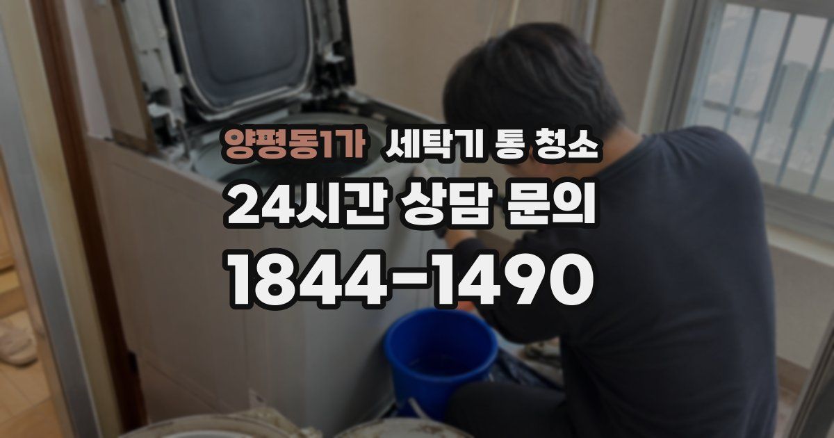 양평동1가 세탁기 통 청소