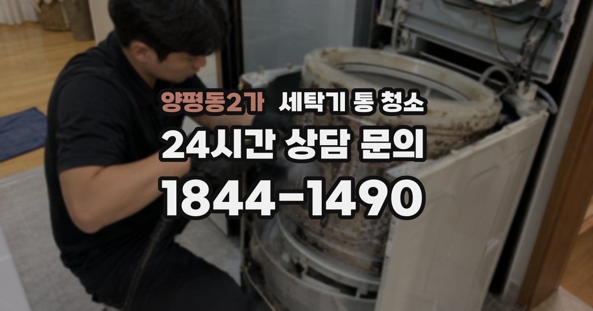 양평동2가 세탁기 통 청소