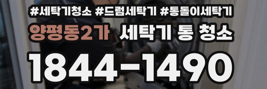 양평동2가 세탁기 통 청소