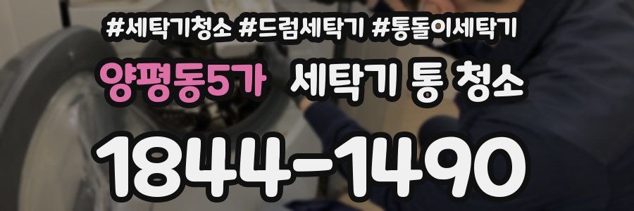 양평동5가 세탁기 통 청소