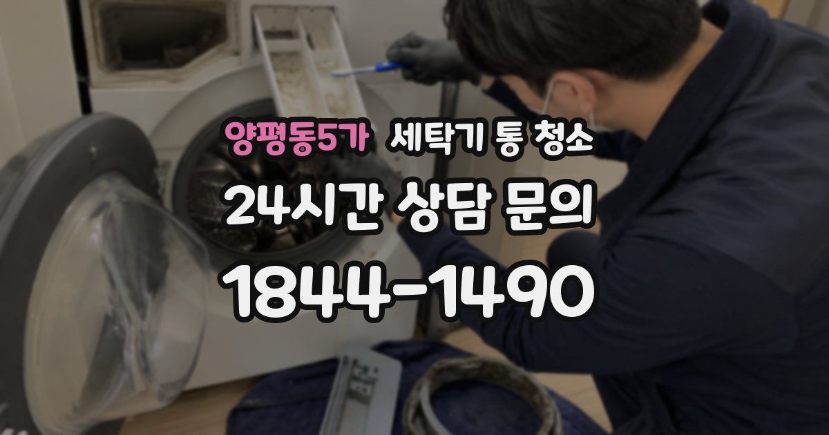 양평동5가 세탁기 통 청소