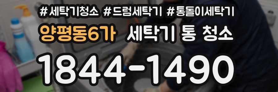 양평동6가 세탁기 통 청소