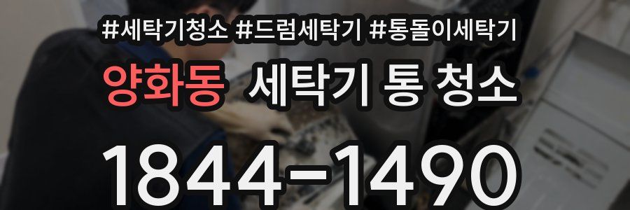 양화동 세탁기 통 청소