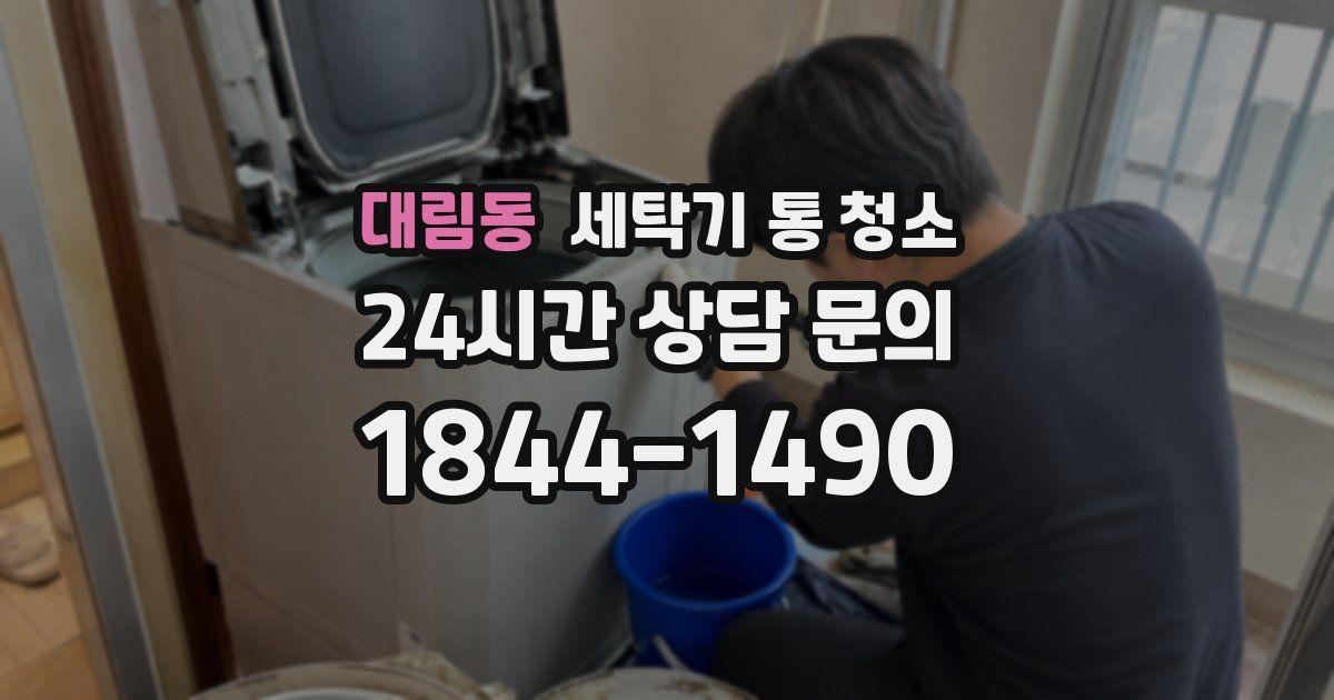 대림동 세탁기 통 청소