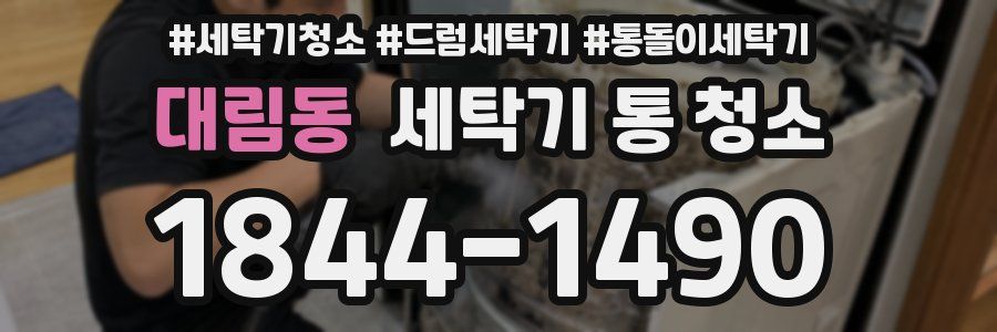 대림동 세탁기 통 청소