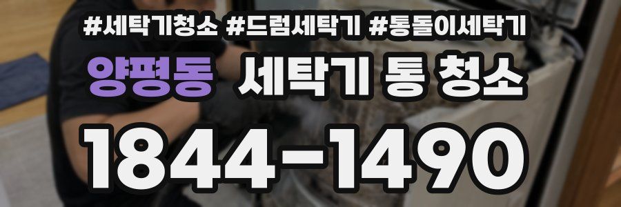 양평동 세탁기 통 청소