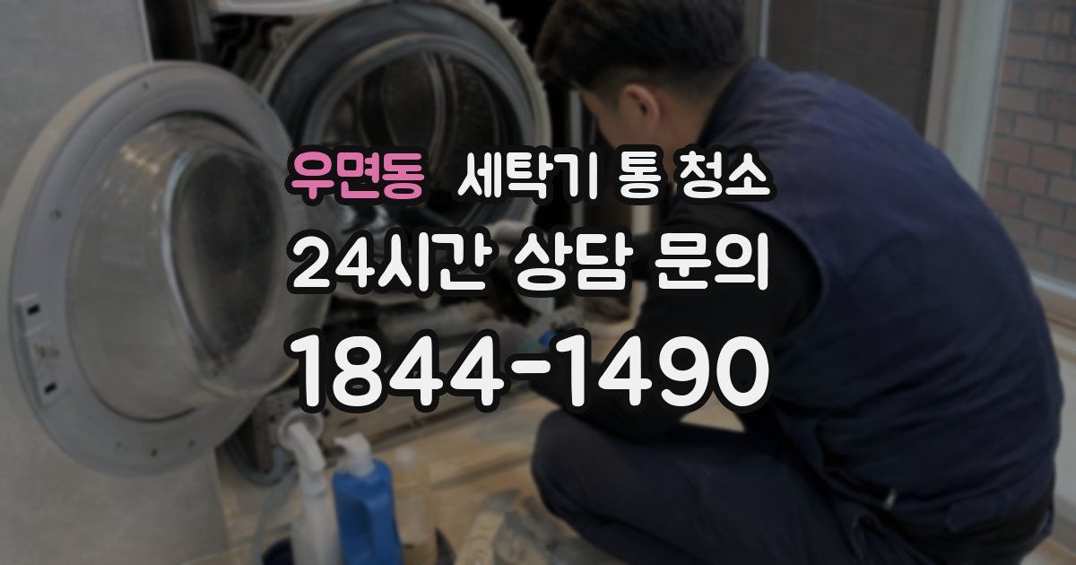 우면동 세탁기 통 청소