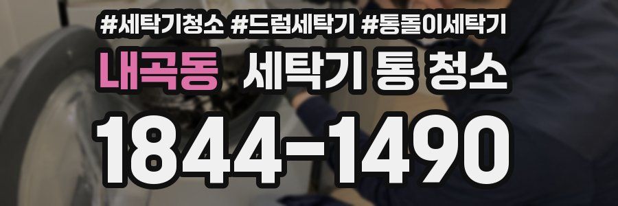 내곡동 세탁기 통 청소
