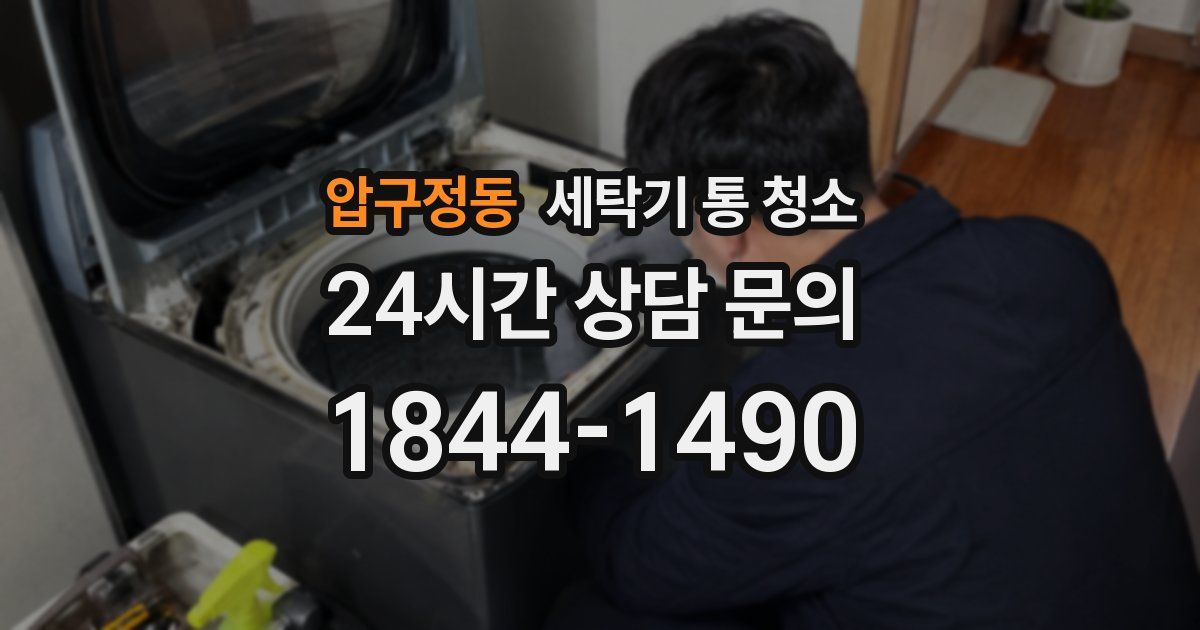 압구정동 세탁기 통 청소