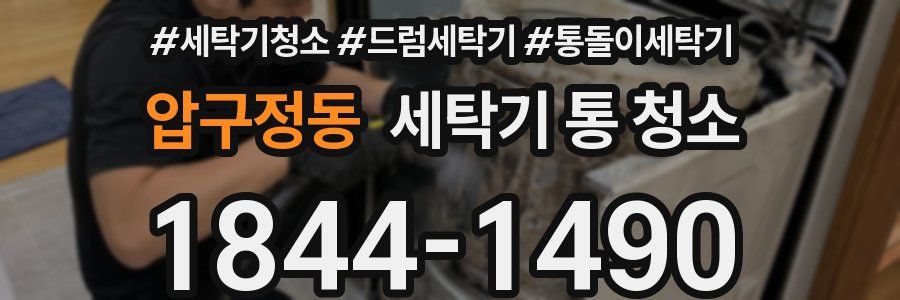 압구정동 세탁기 통 청소