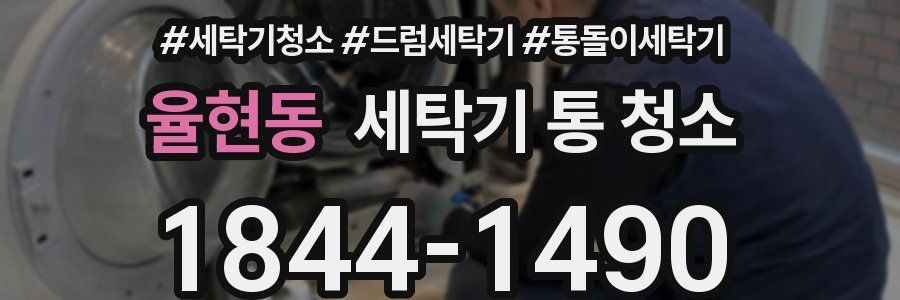 율현동 세탁기 통 청소