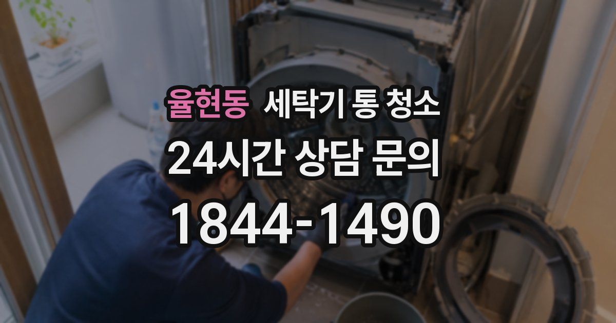 율현동 세탁기 통 청소