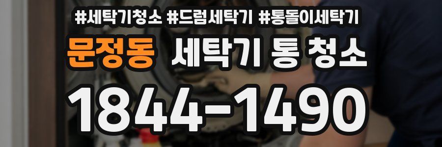 문정동 세탁기 통 청소