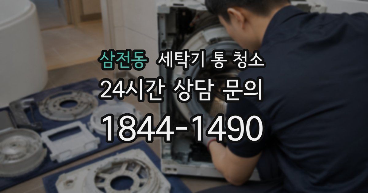 삼전동 세탁기 통 청소