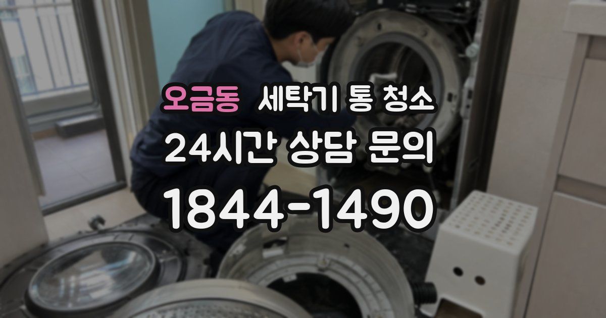 오금동 세탁기 통 청소