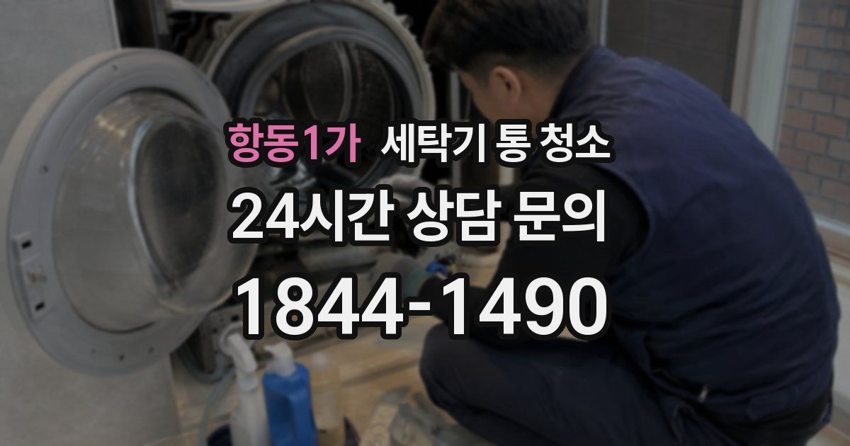 항동1가 세탁기 통 청소