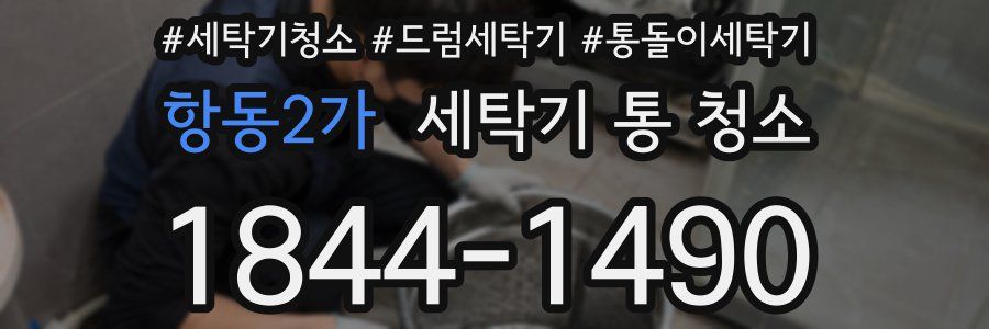항동2가 세탁기 통 청소