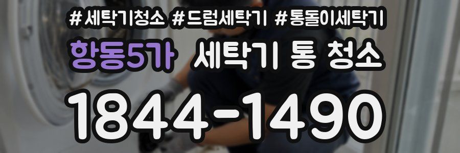 항동5가 세탁기 통 청소