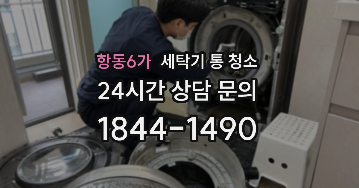 항동6가 세탁기 통 청소