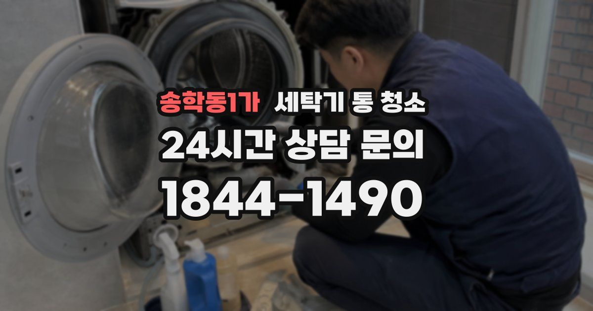 송학동1가 세탁기 통 청소