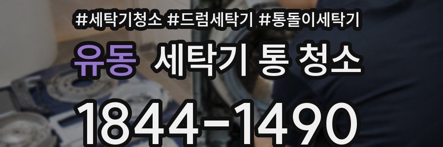 유동 세탁기 통 청소