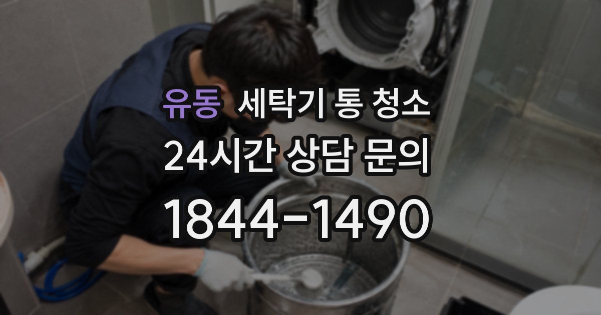 유동 세탁기 통 청소