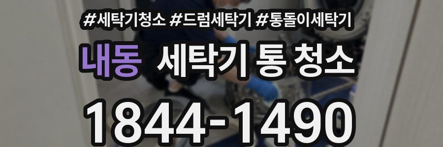 내동 세탁기 통 청소