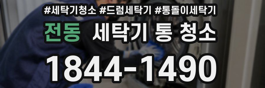 전동 세탁기 통 청소
