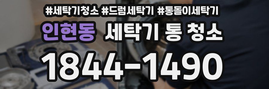 인현동 세탁기 통 청소