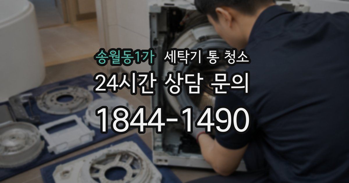 송월동1가 세탁기 통 청소