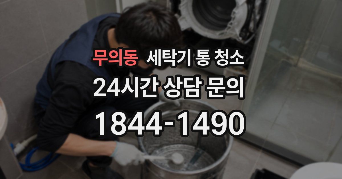 무의동 세탁기 통 청소