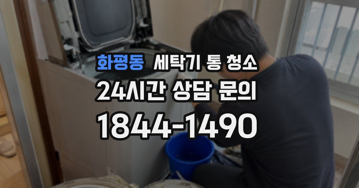 화평동 세탁기 통 청소