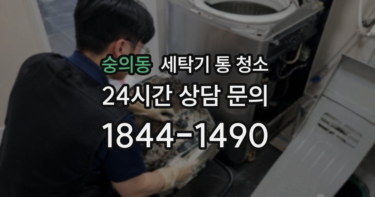 숭의동 세탁기 통 청소
