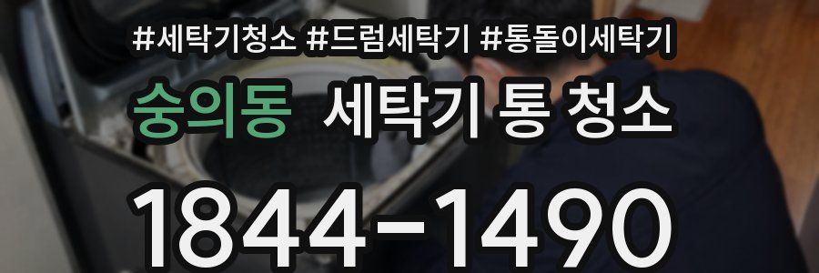 숭의동 세탁기 통 청소
