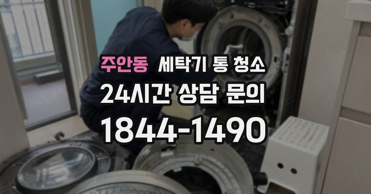 주안동 세탁기 통 청소