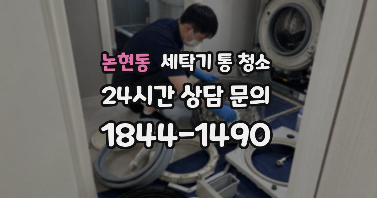 논현동 세탁기 통 청소