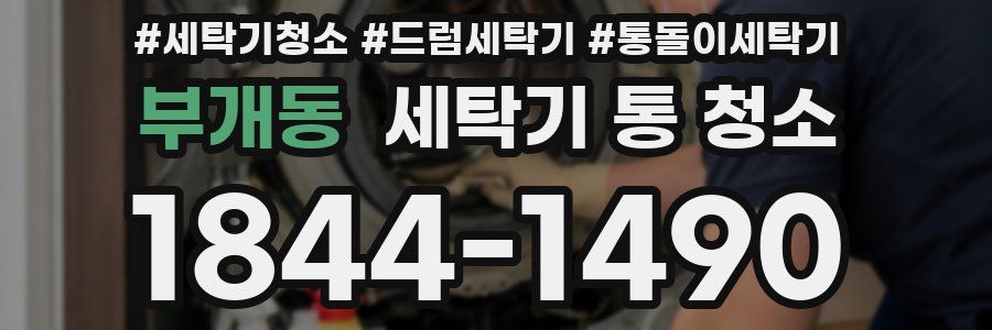 부개동 세탁기 통 청소