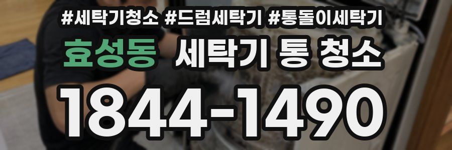 효성동 세탁기 통 청소