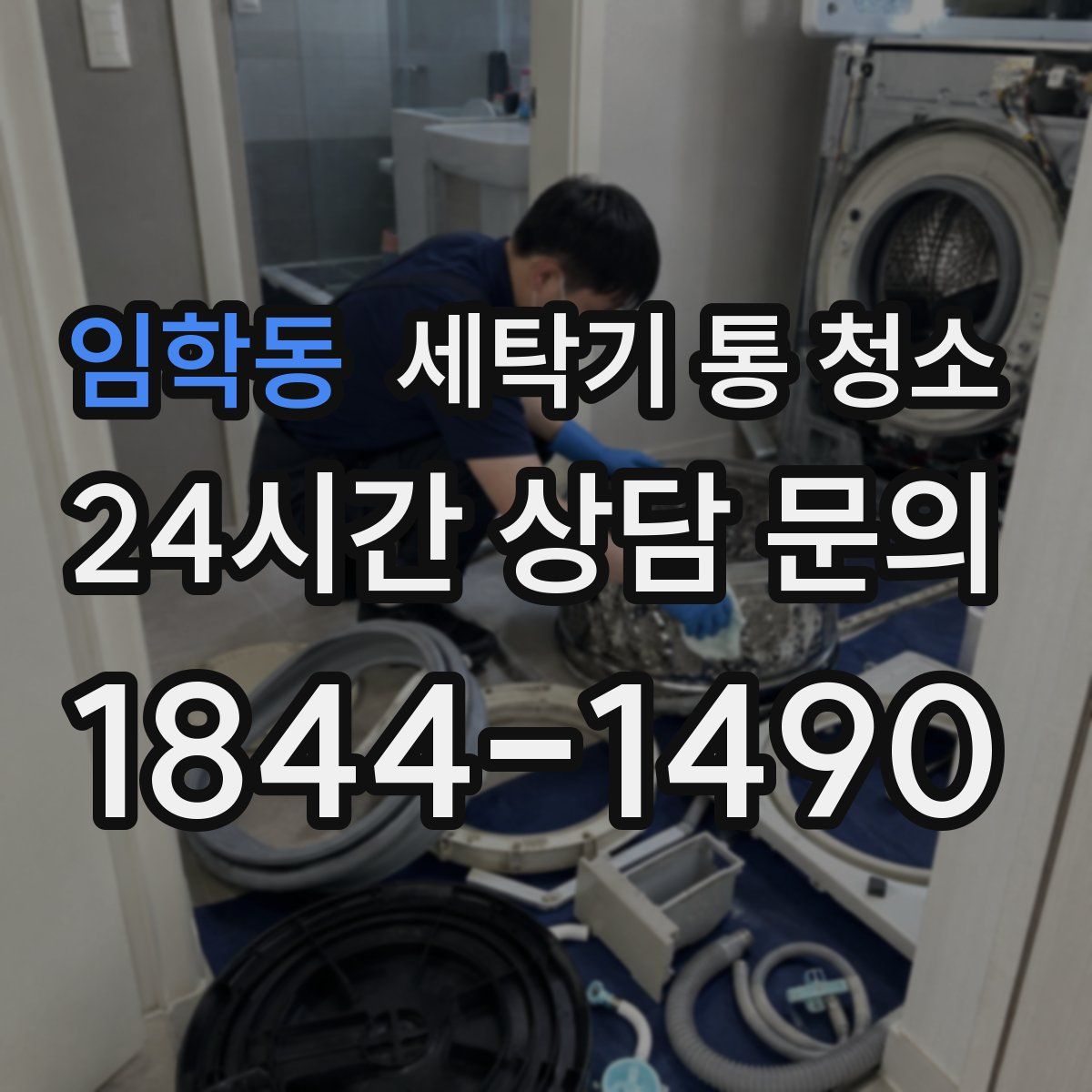 임학동 세탁기 통 청소