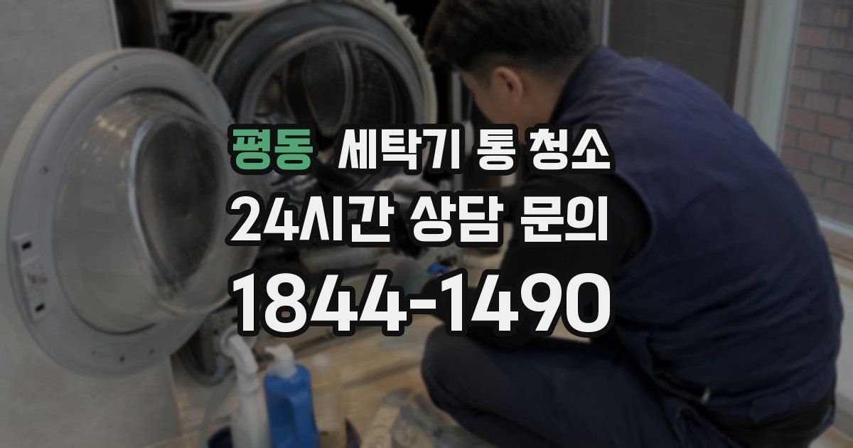 평동 세탁기 통 청소