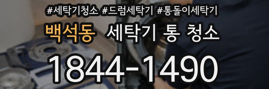 백석동 세탁기 통 청소