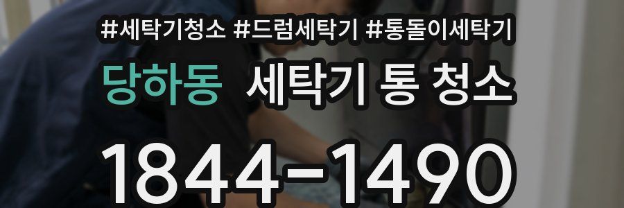 당하동 세탁기 통 청소