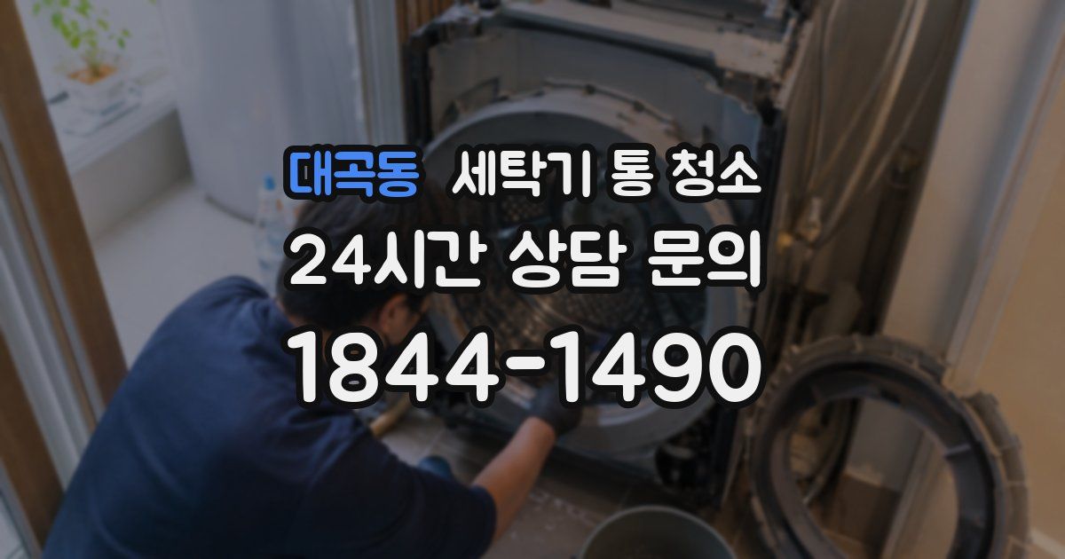 대곡동 세탁기 통 청소