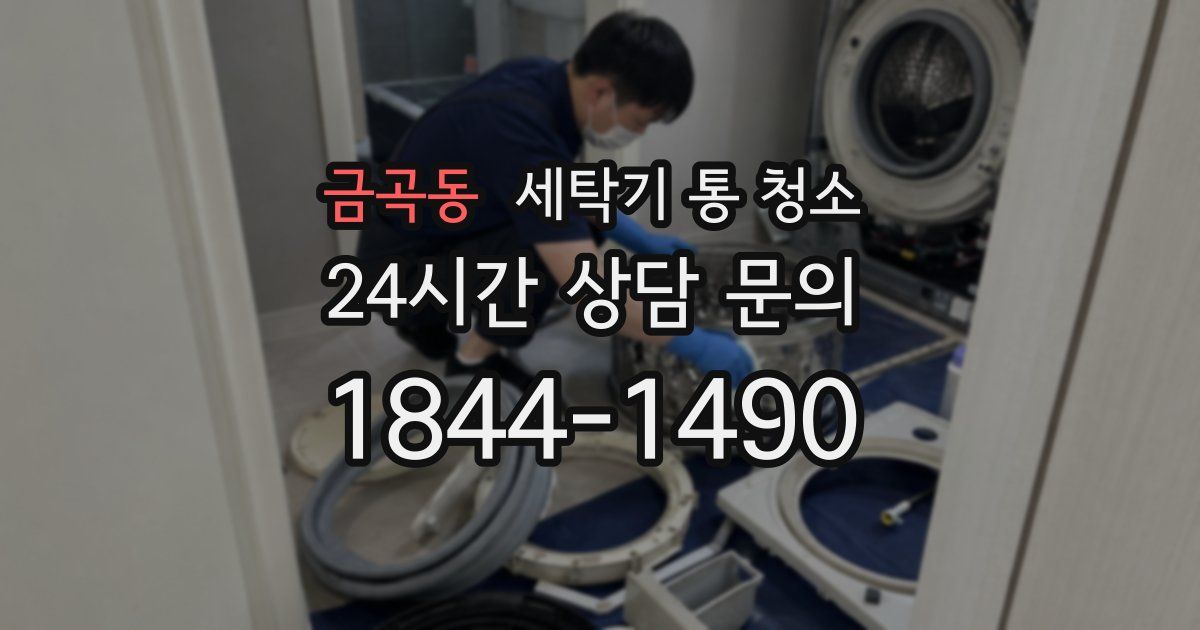 금곡동 세탁기 통 청소