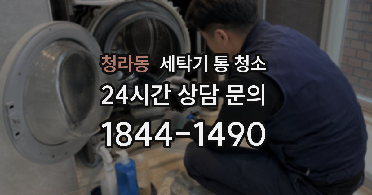 청라동 세탁기 통 청소