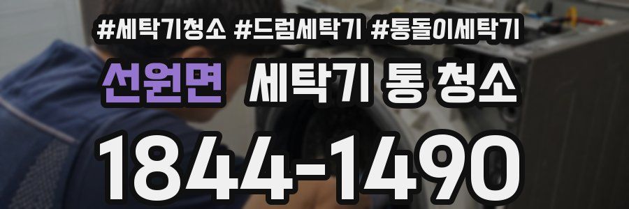 선원면 세탁기 통 청소